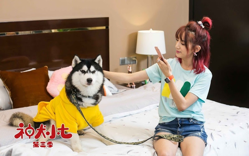 Hero Dog 3 China Web Drama